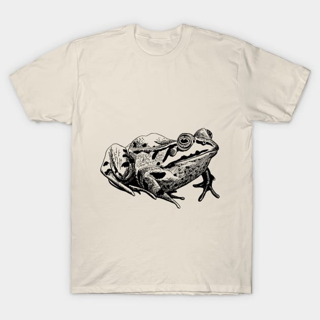 toad T-Shirt by VicaVeresk